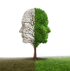 Human emotion and mood disorder as a tree shaped as two human faces with one half empty branches and the opposite side full of leaves as a medical metaphor for psychological contrast in feelings on a white background.